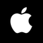Apple Inc. Common Stock